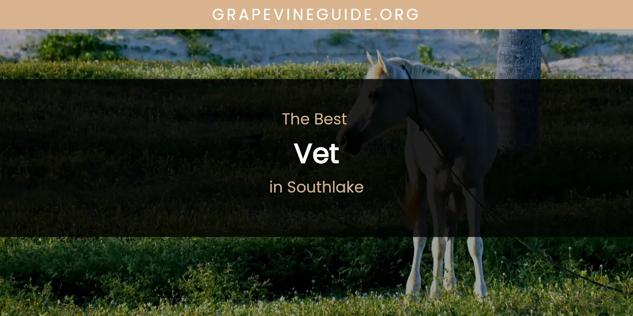Southlake's Best Vet featured
